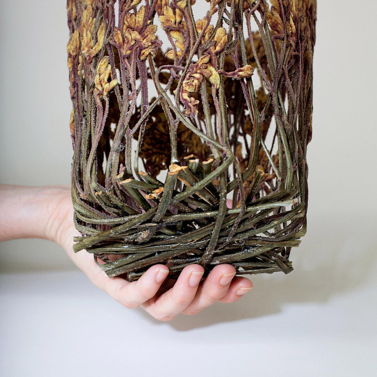 Dried and Pressed Flowers Are Molded into Delicate Sculptural