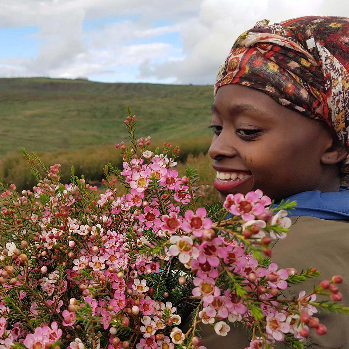 Zuluflora Stunning Wax Flowers feature on Thursd