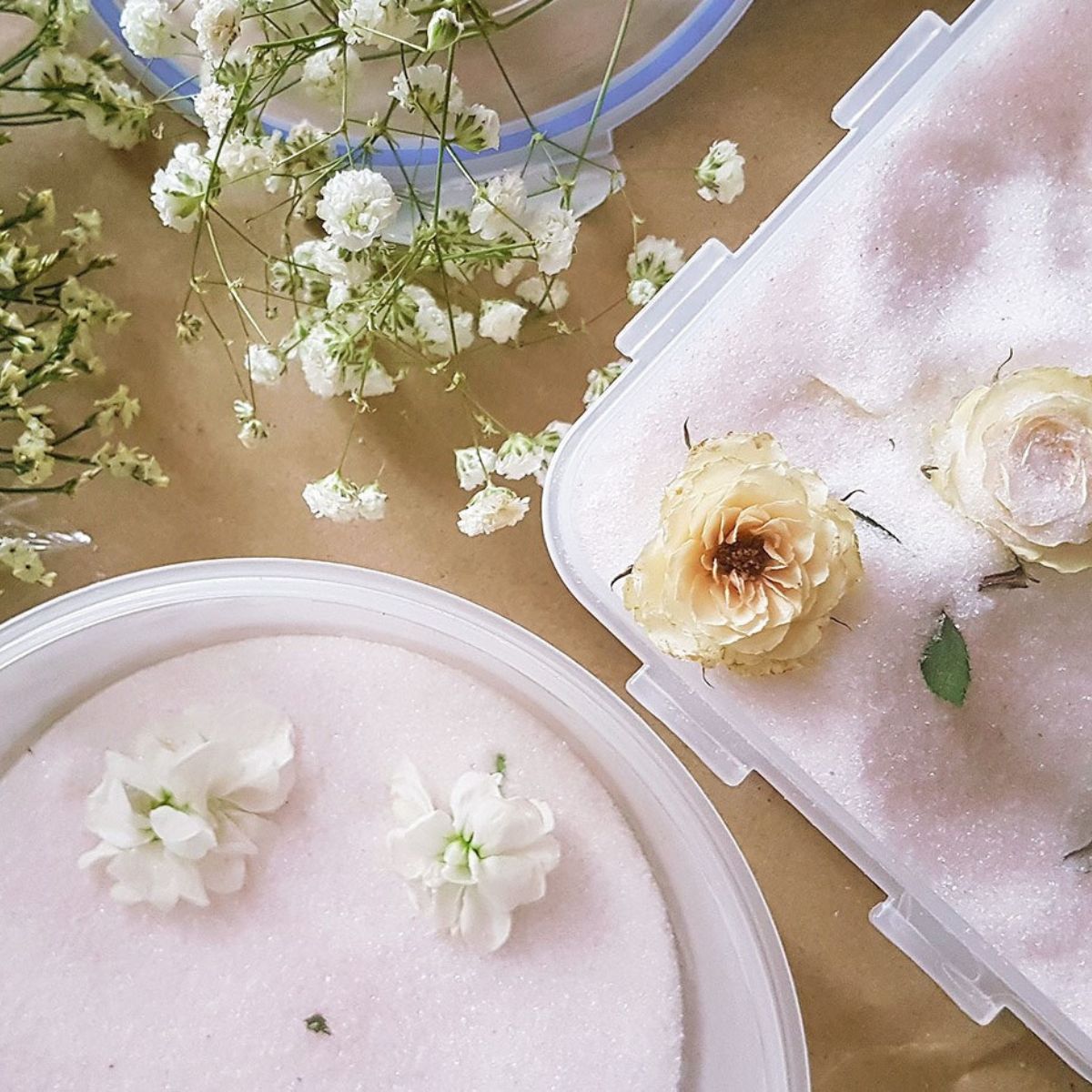 Preserve wedding flowers using silica gel on Thursd (1)