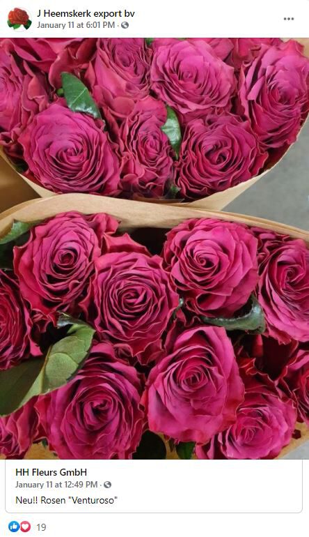 DecoFresh' Florist Suggestions for Valentine's Day