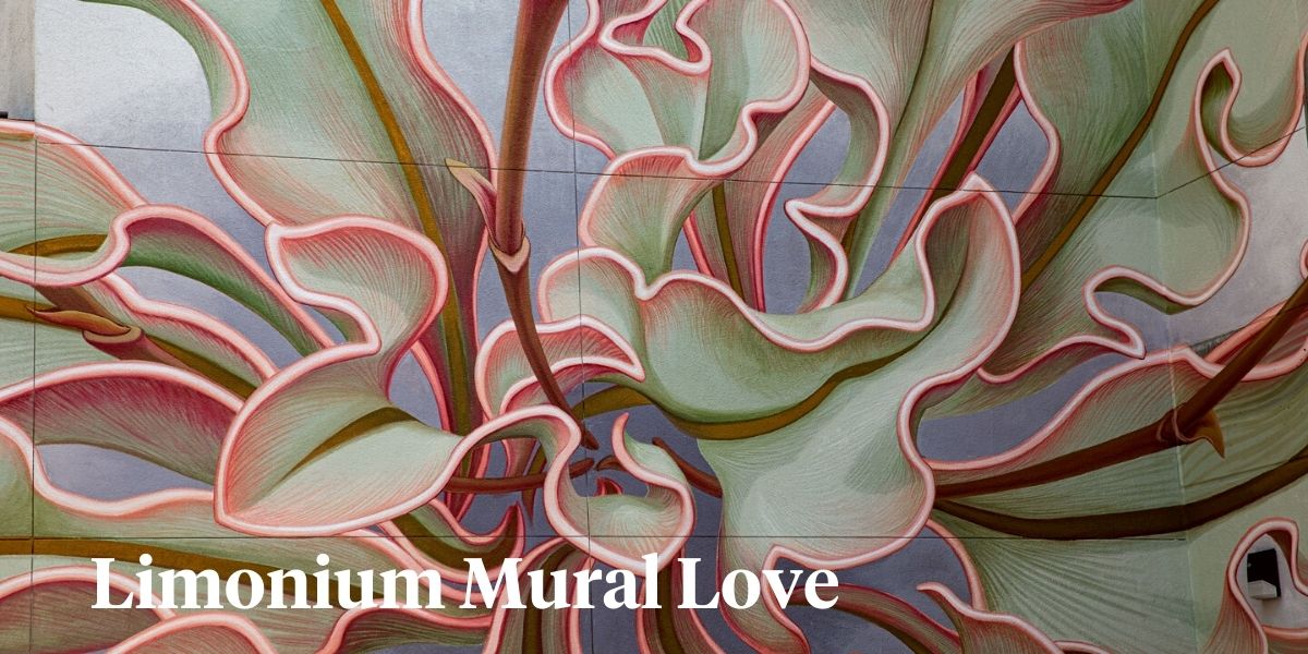 Limonium Mural love header on Thursd
