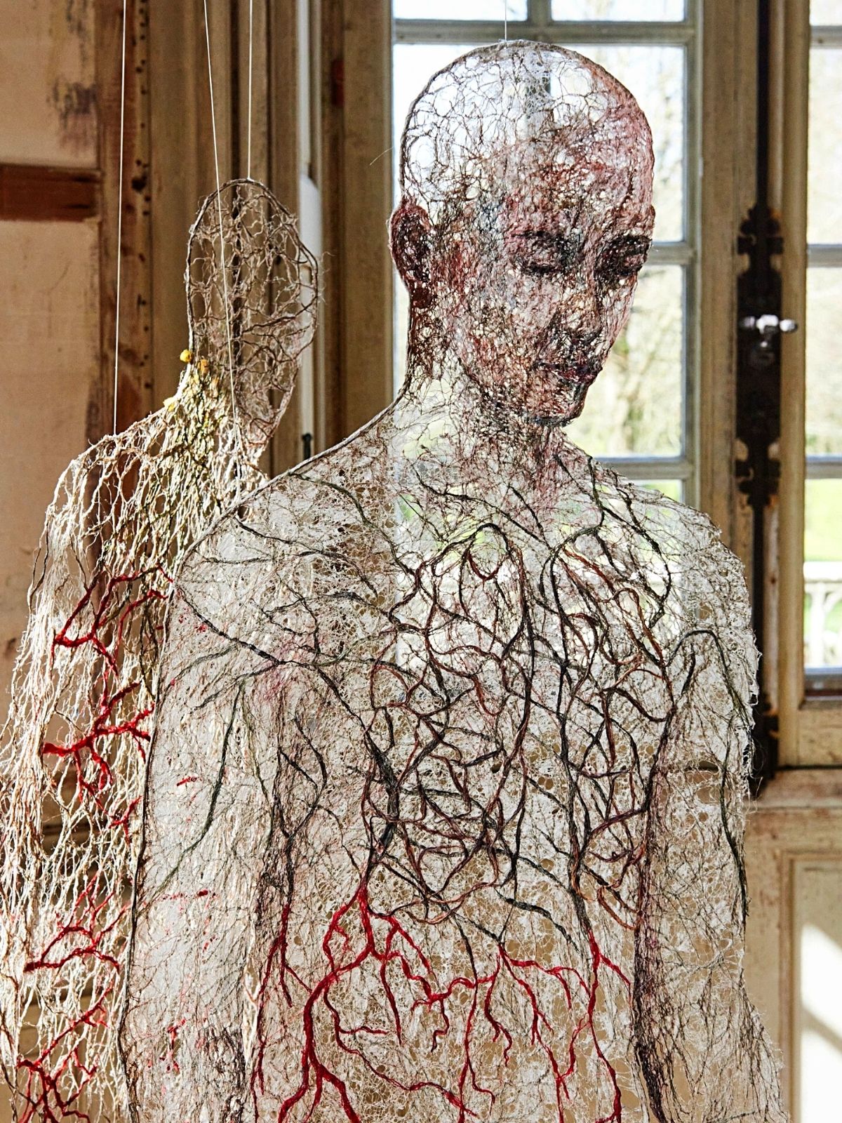 Raija Jokinen anatomical shapes featuring mesh roots and veins on thursd
