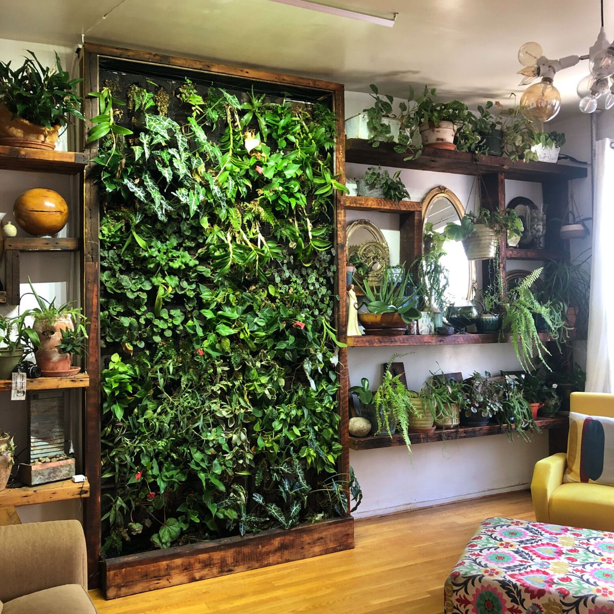 How a Vertical Garden Can Improve Your Health