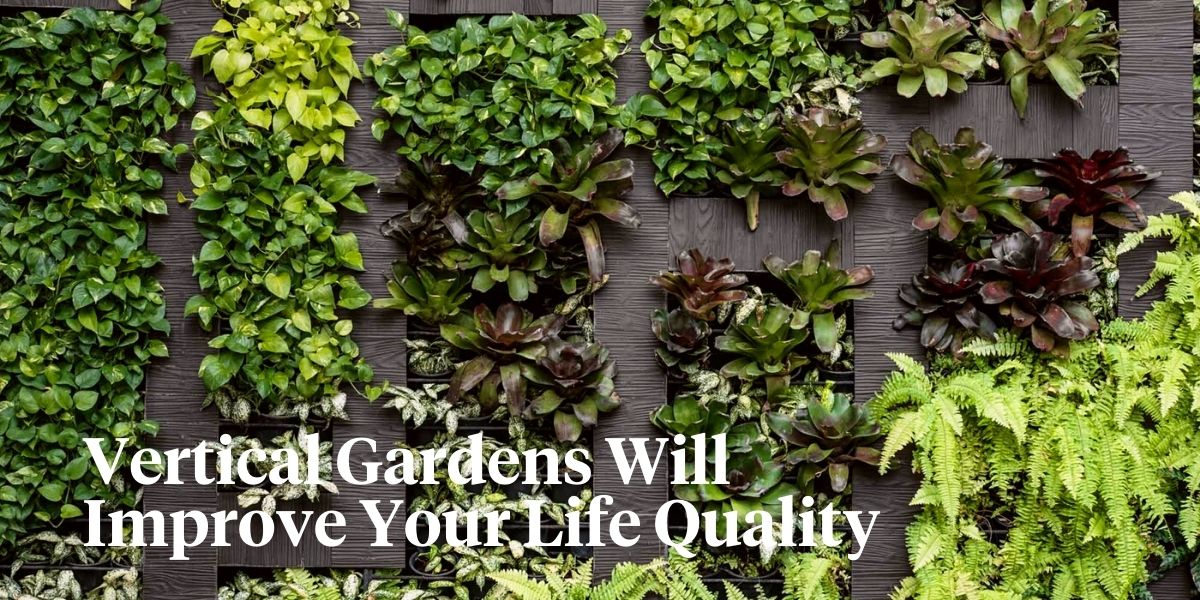 Vertical Gardens Offer Various Health Benefits You Should Know About A...