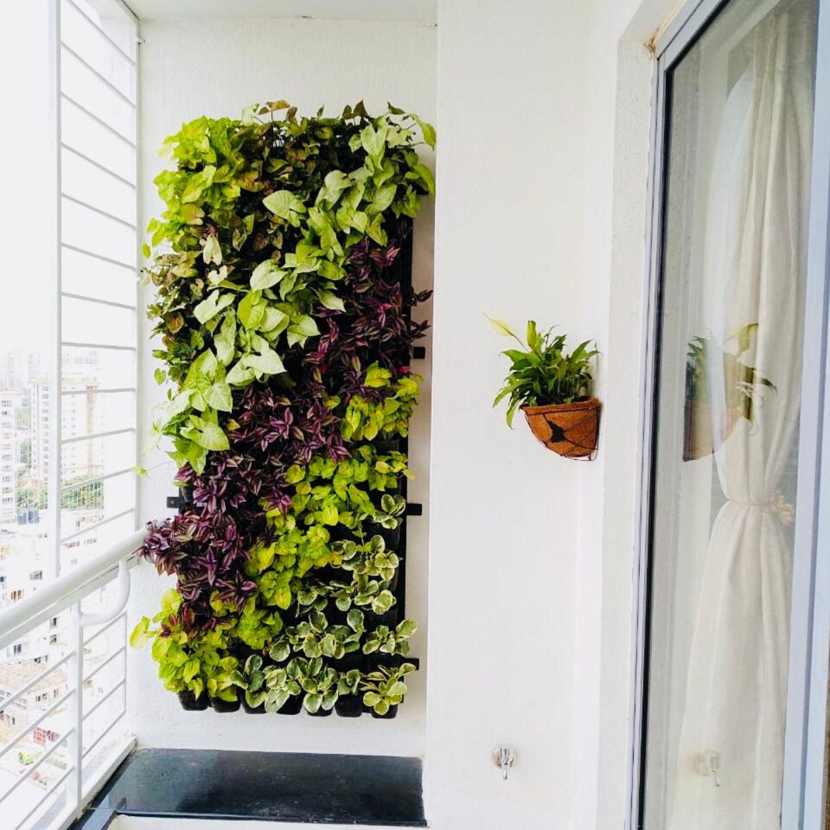Vertical Gardens have incredible mental and physical health benefits on Thursd