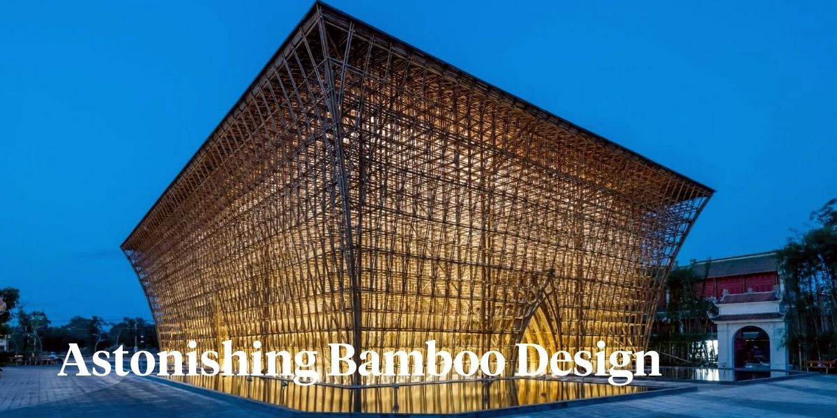 _Bamboo shoots in Vietnam hotel header on Thursd