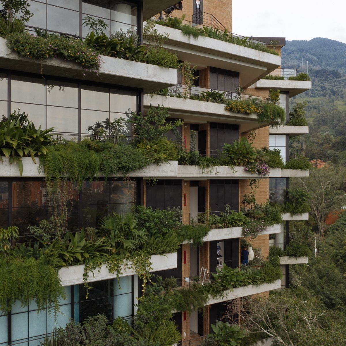 Medellin is the new green Colombian city featured on Thursd