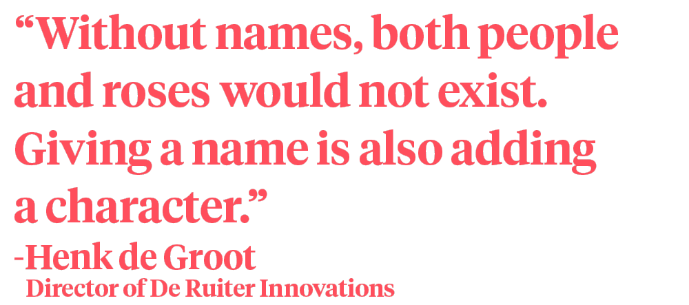De Ruiter Rose names Henk de Groot quote on Thursd