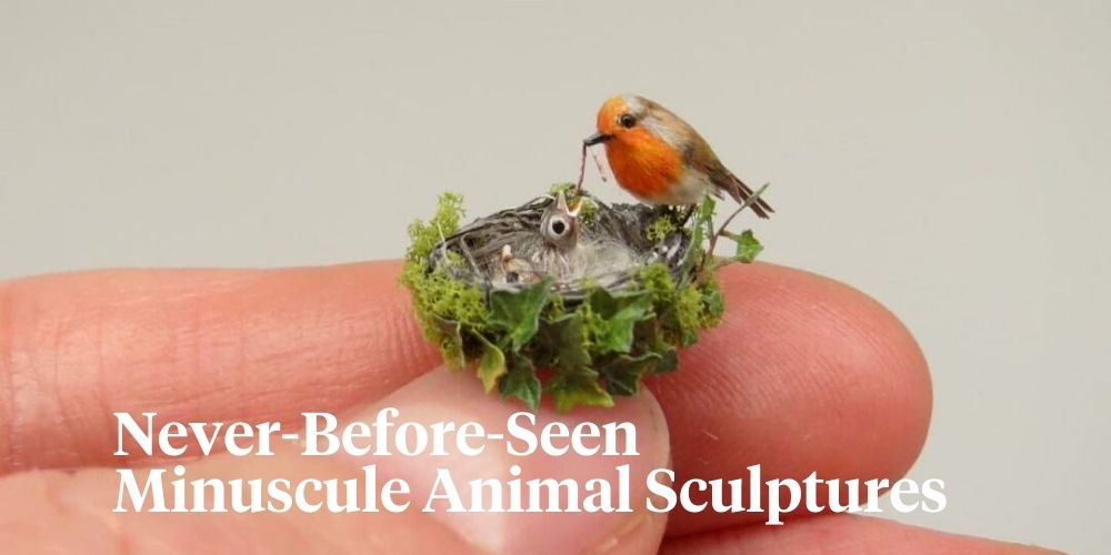 Fanni Sandor creates miniature animal figures header on Thursd 
