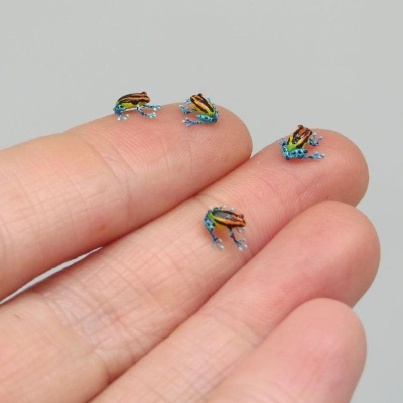 Miniature colorful frogs by Fanni Sandor on Thursd