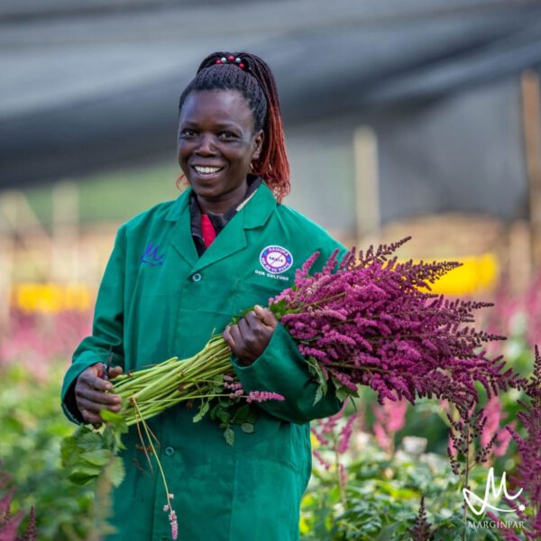 Astilbe with Her Airy Plumes - Article on Thursd - Marginpar (2)