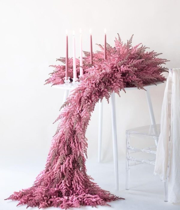 Astilbe with Her Airy Plumes - by Joe Massie - Article on Thursd - Marginpar