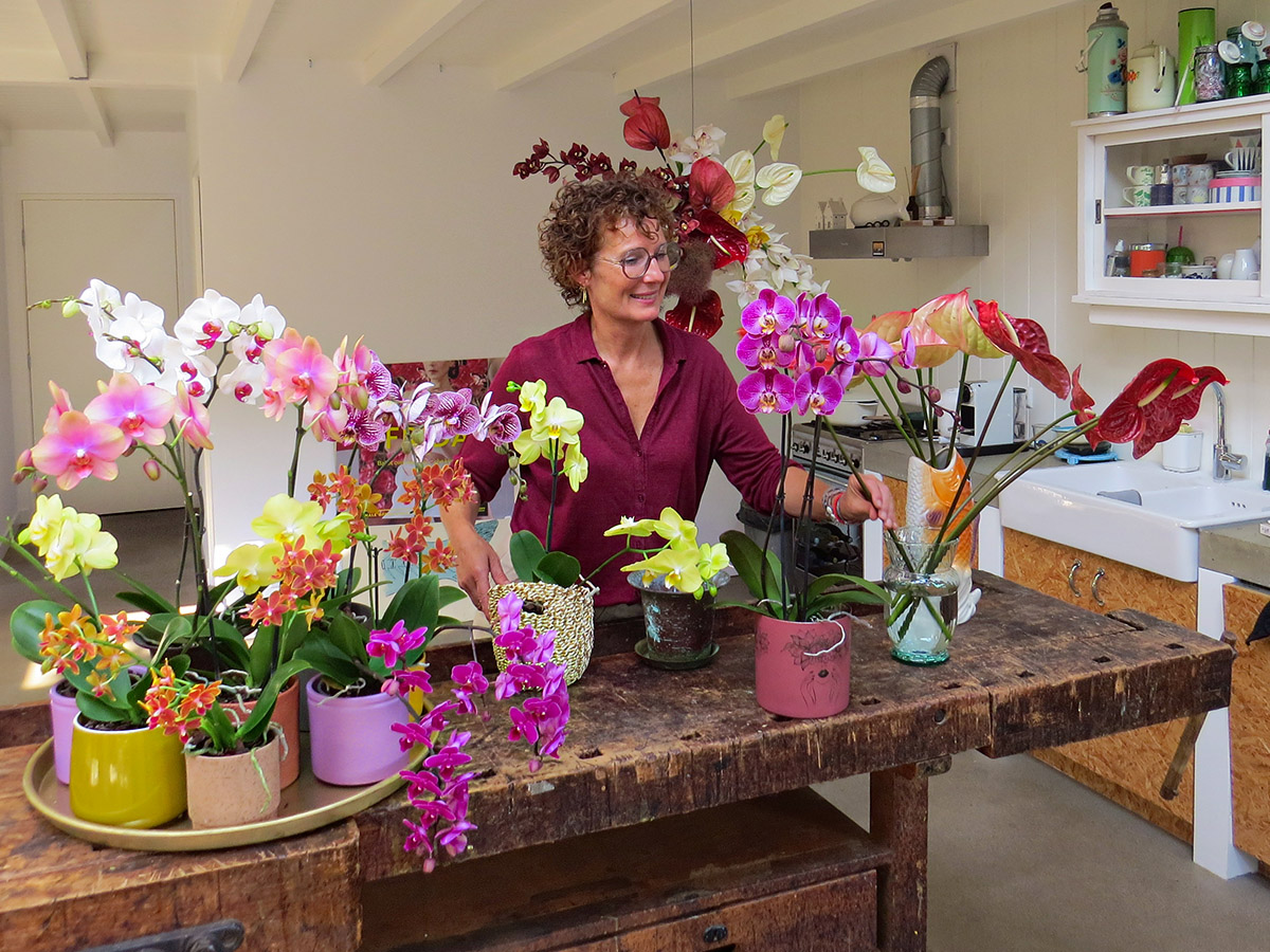 Jeannette Philippo studio phalaenopsis on Thursd