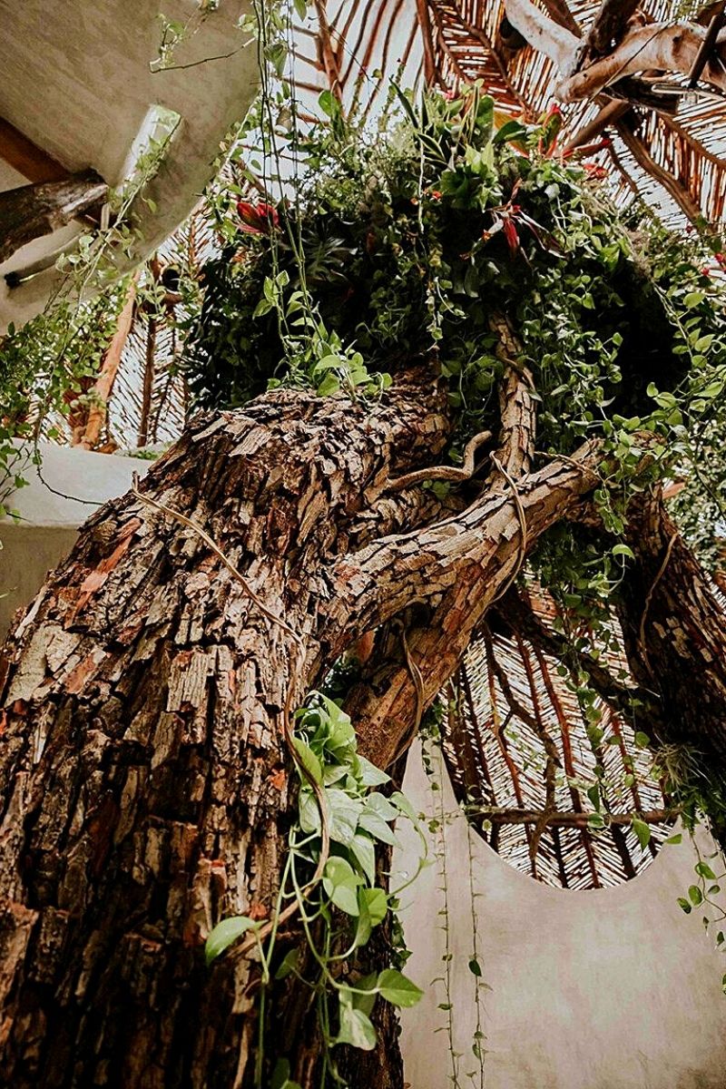 Azuma Makoto's Newest Monumental Botanical Sculpture MEXX