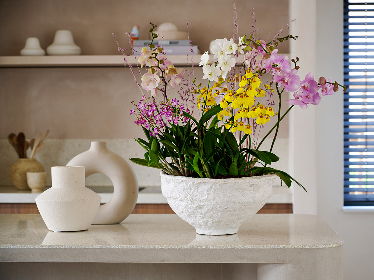 Orchids kitchen design by Jeannette Philippo on Thursd