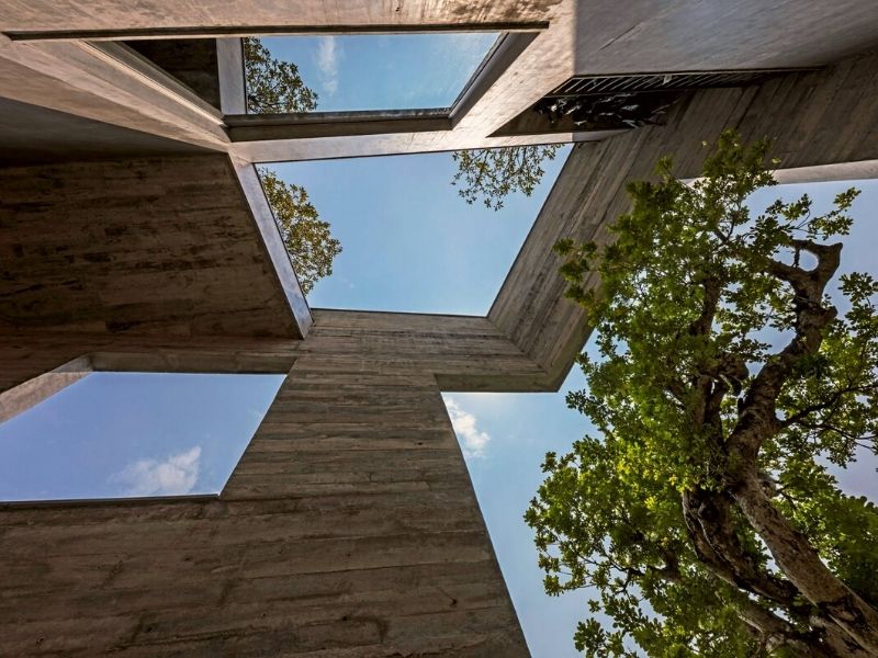 Upside down view of trees bursting into Ha long Villa by Vo Trong Nghia Architects on Thursd