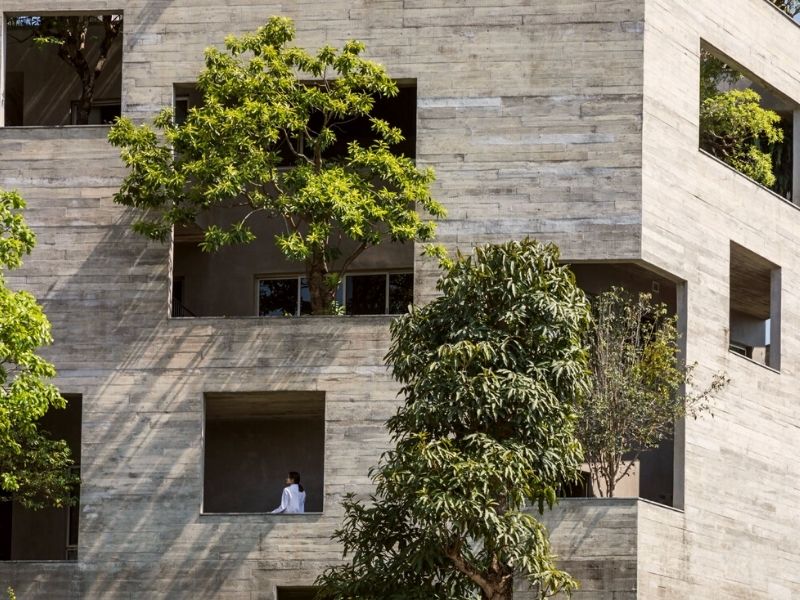 Literal trees bursting into Ha long Villa by Vo Trong Nghia Architects on Thursd