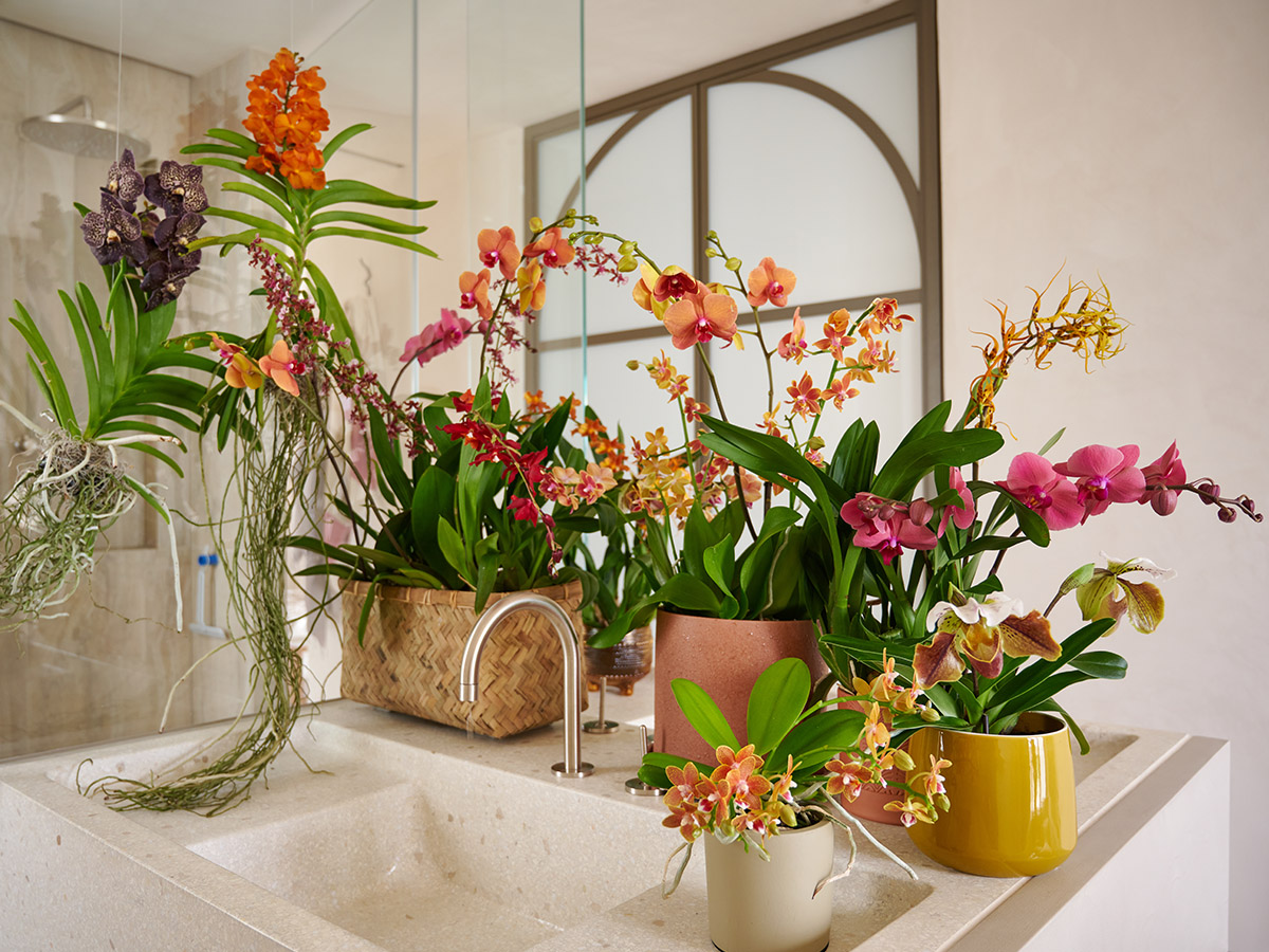 Orchids bathroom design by Jeannette Philippo on Thursd