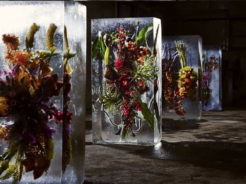 Iced flowers by Azuma Makoto
