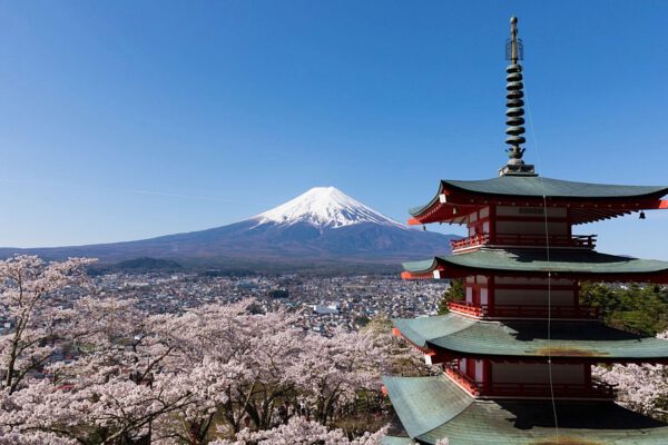 Chureito Pagoda surrounded by Sakura Tree or Cherry Blossom and Mount Fuji in background