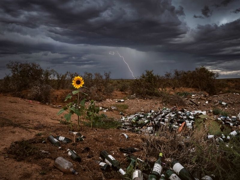 Nature TTL's Photography Contest features Nature Fights Back by Bertus Hanekom on Thursd