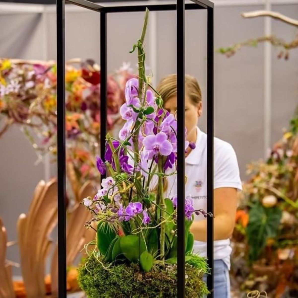 Surprise Task Plant Design Hanneke Frankema With Phalaenopsis Orchids on Thursd