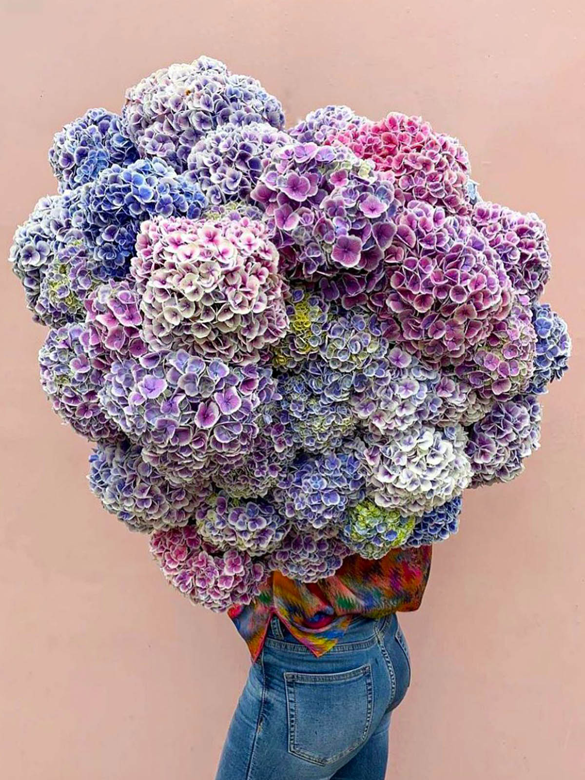 Hydrangeas by The Bridal Beauty Festival on Thursd