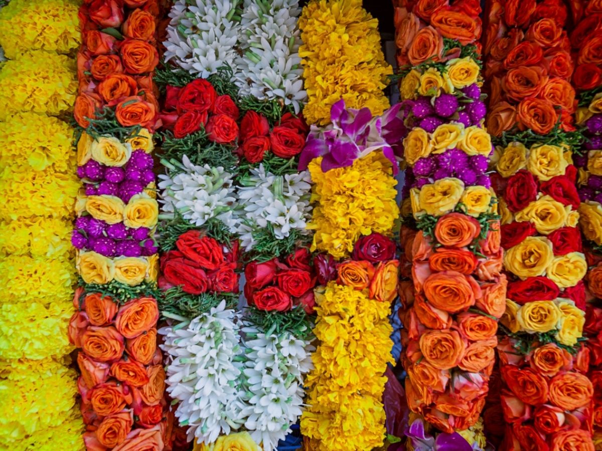 Follow These Steps to Make a Beautiful Indian Garland - Article on ...