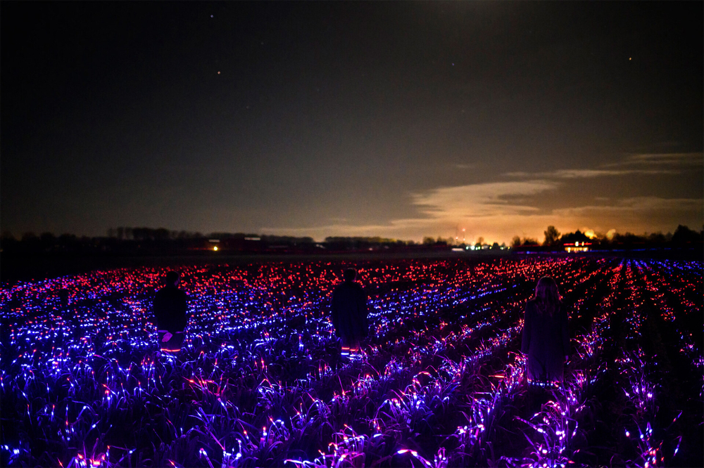 20,000m2 Artwork GROW by Daan Roosegaarde Highlights the Beauty of Agriculture