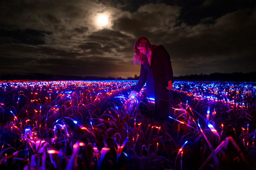 20,000m2 Artwork GROW by Daan Roosegaarde Highlights the Beauty of Agriculture Light Design