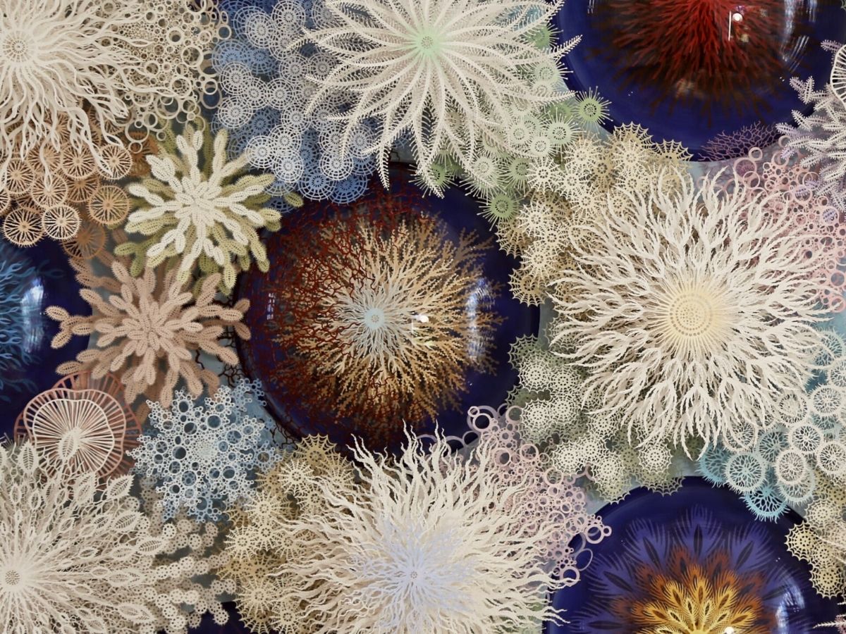Close up of Rogan Brown's paper coral reef sculptures on Thursd