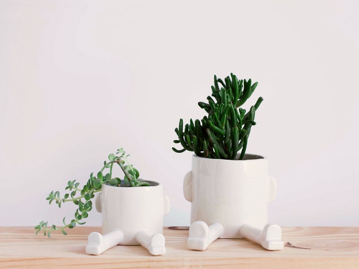 Madriguera Workshop ceramic planters made in Spain on Thursd