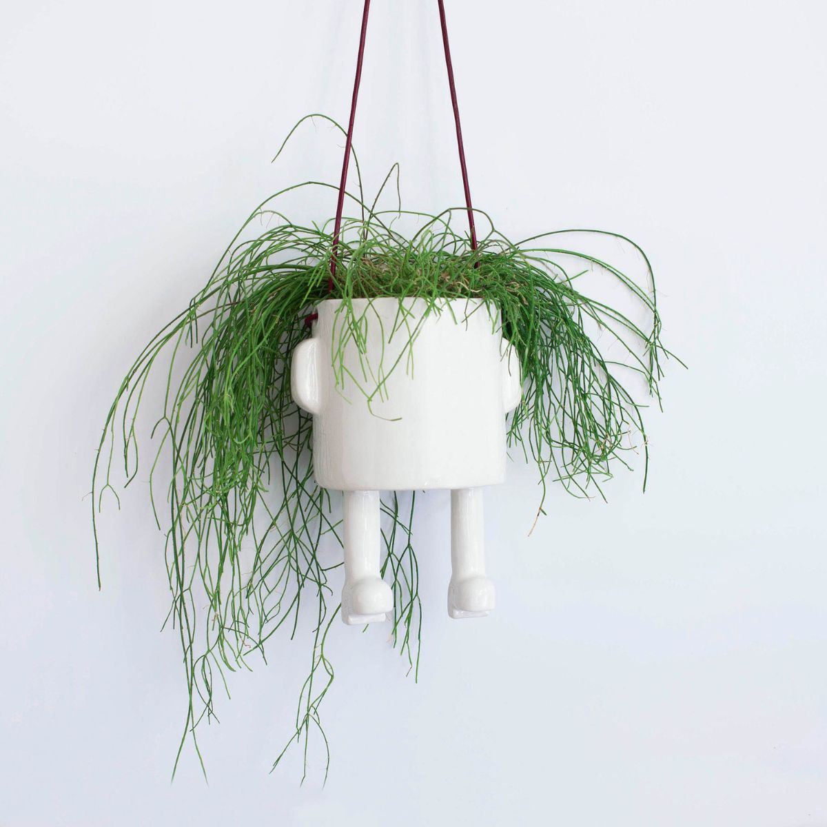 Hanging ceramic design for plants on Thursd