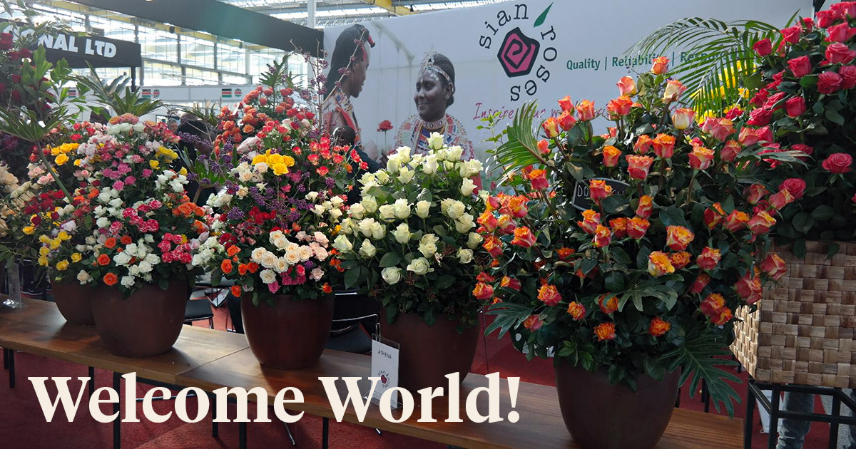 IFTF 2022 Must-Be Horti Industry Event of the Year header on Thursd