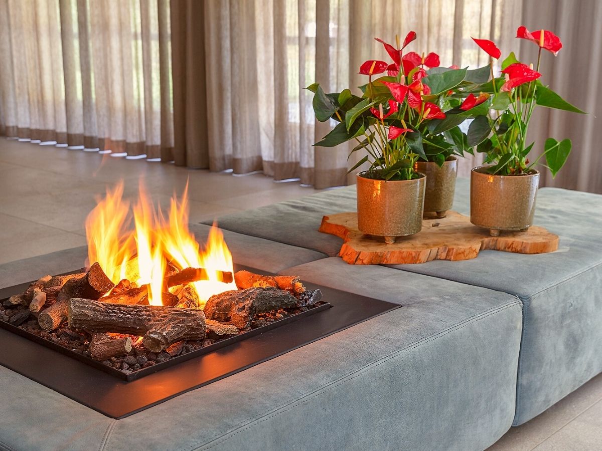 Anthurium Koro by Floricultura are a beautiful autumn option to decorate interiors on Thursd
