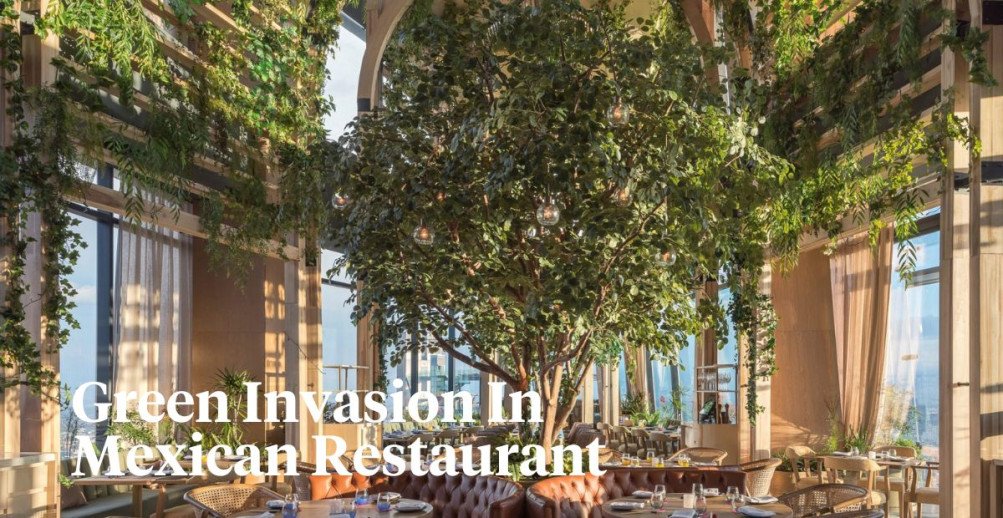 Ling Ling Restaurant in Mexico City Filled With Flourishing Trees and Ha...