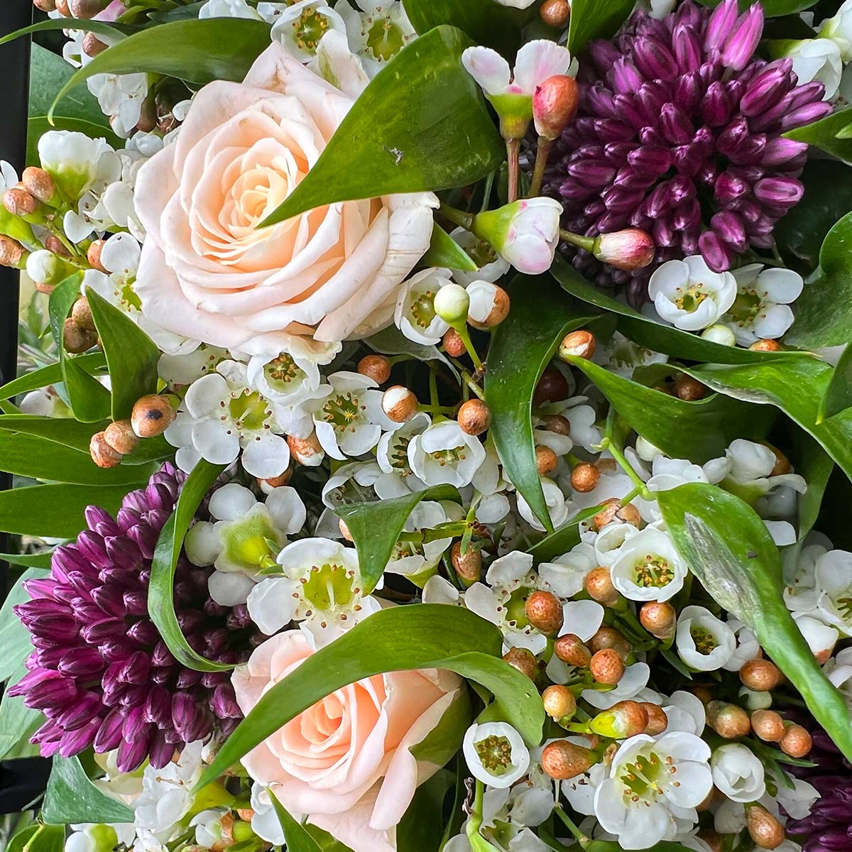 Waxflower Is So Much More Than a Bouquet Filler feature on Thursd