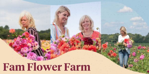 Fam Flower Farm, Feeling Ambitious and Guilty - header - interview on thursd