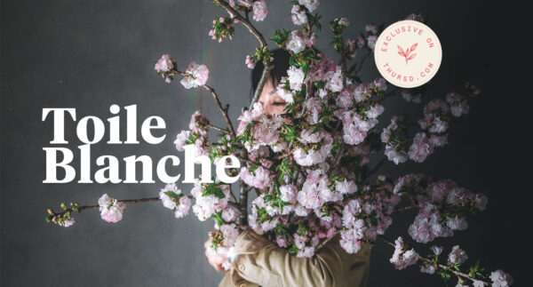 Toile Blanche interview on thursd