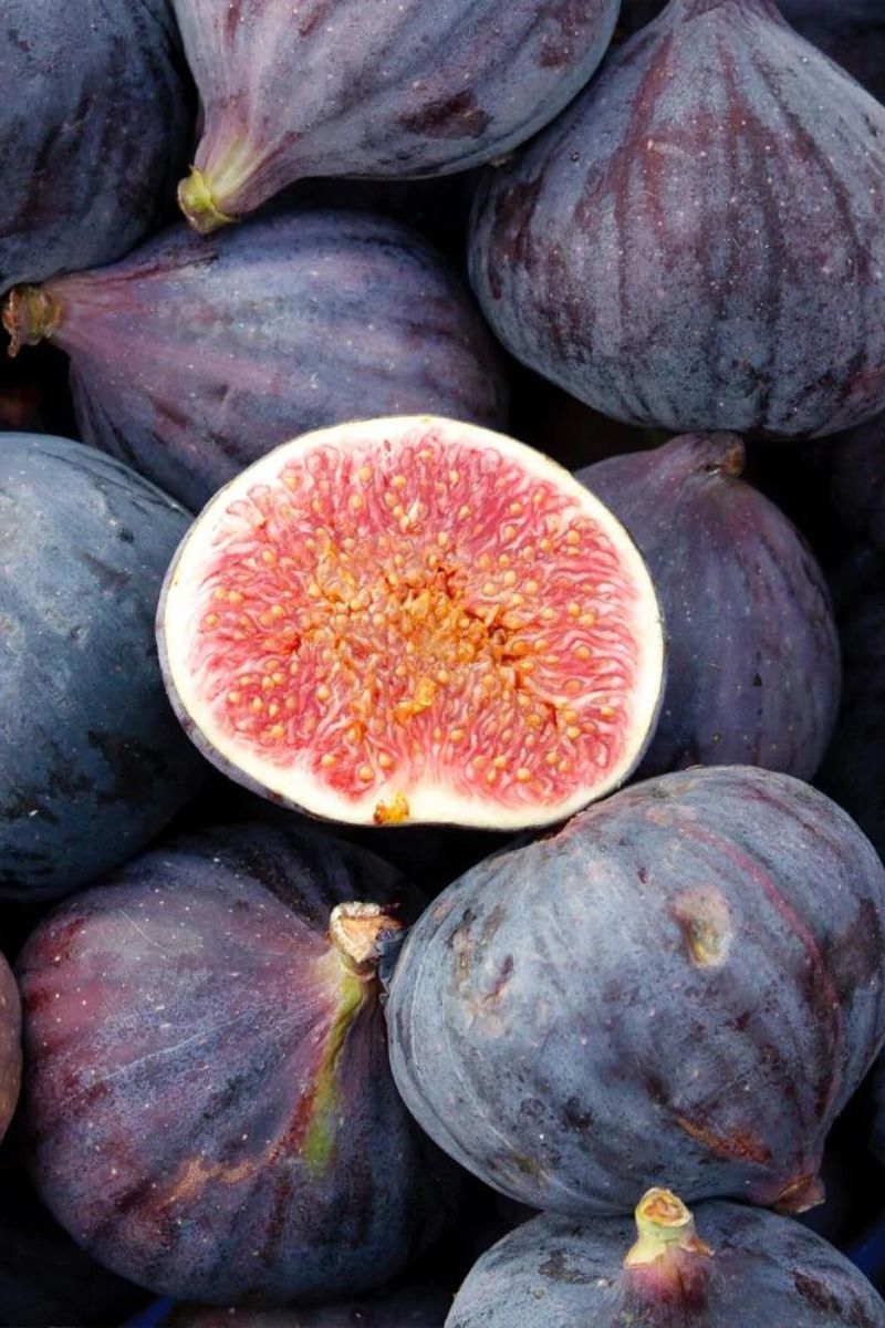 Fig trees are one of the best fruit trees that'll bear fruit relatively fast on Thursd