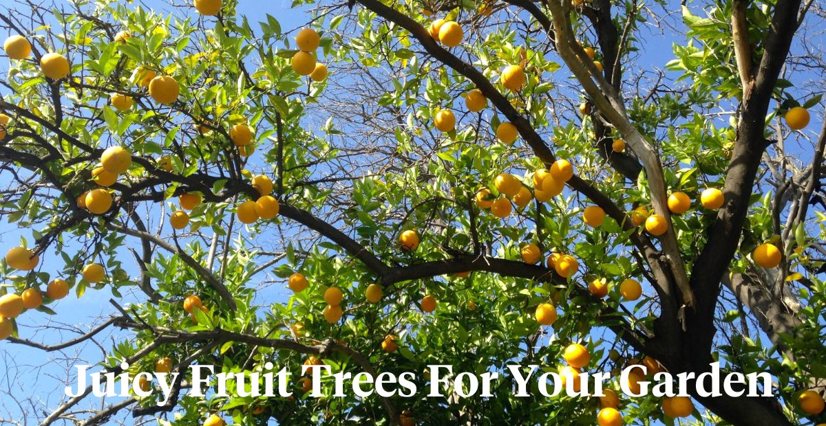 five best fruit trees header on Thursd 