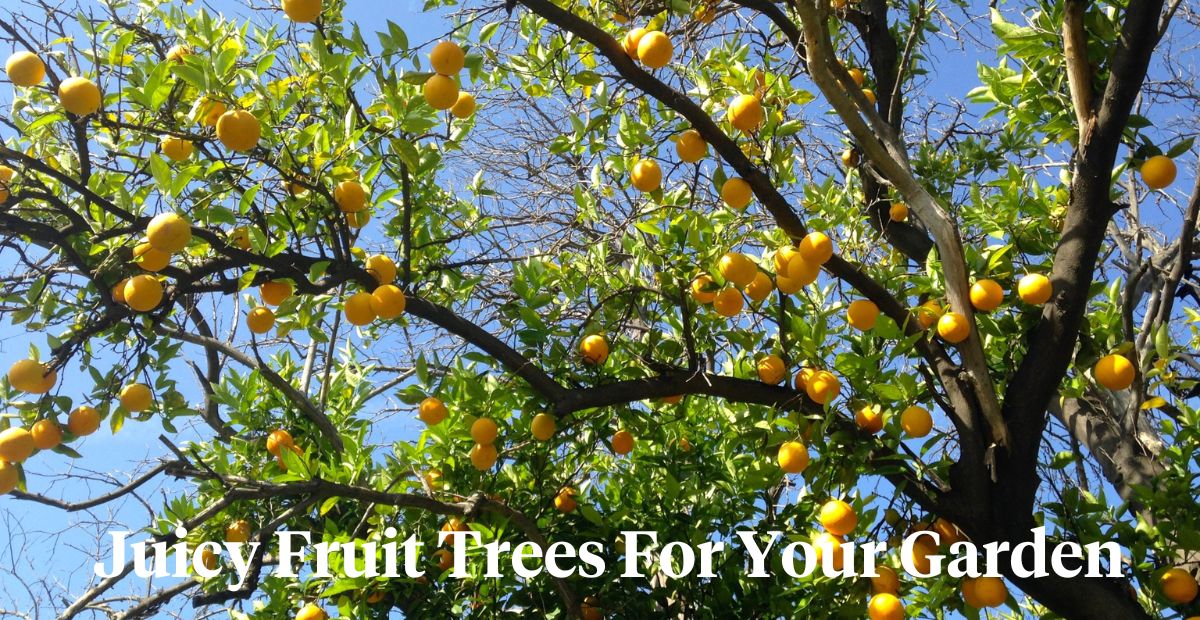 5 Best Fruit Trees to Grow in Your Garden Article onThursd