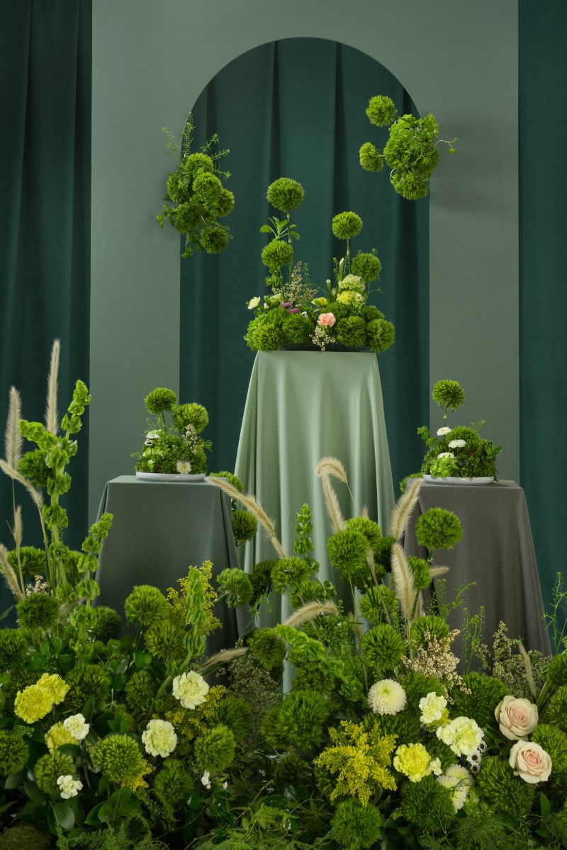 Distinct ways of using Dianthus Barbatus Kiwi Mellow Cool for floral creations on Thursd