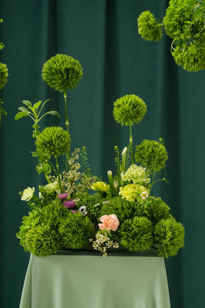 Incredible green arrangement using Dianthus Barbatus Kiwi Mellow Cool by Selecta Cut Flowers on Thursd