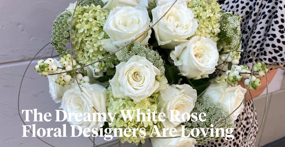 Rose Nova Vita is the rose floral designers are obsessed with header on Thursd 