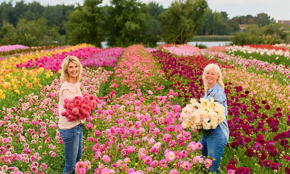 Linda van der Slot, and Marlies Weijers from FAM Flower Farm