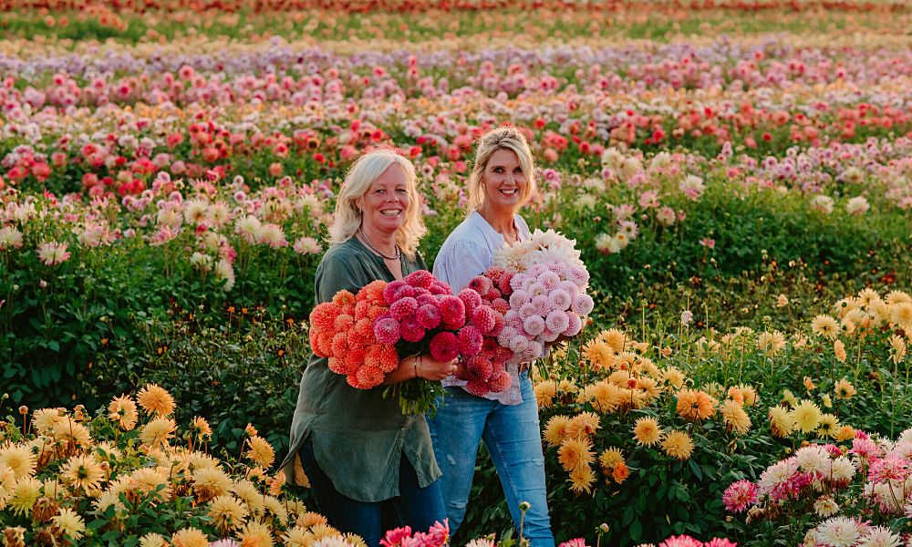 Linda van der Slot, and Marlies Weijers at dahlia field