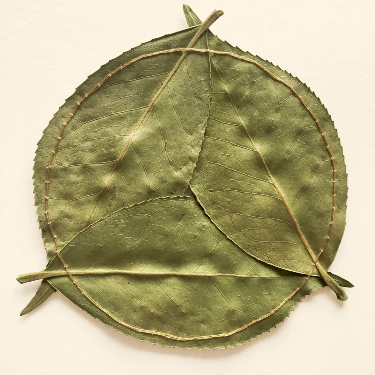 Circular embroidered design by Hillary Waters Fayle on Thursd