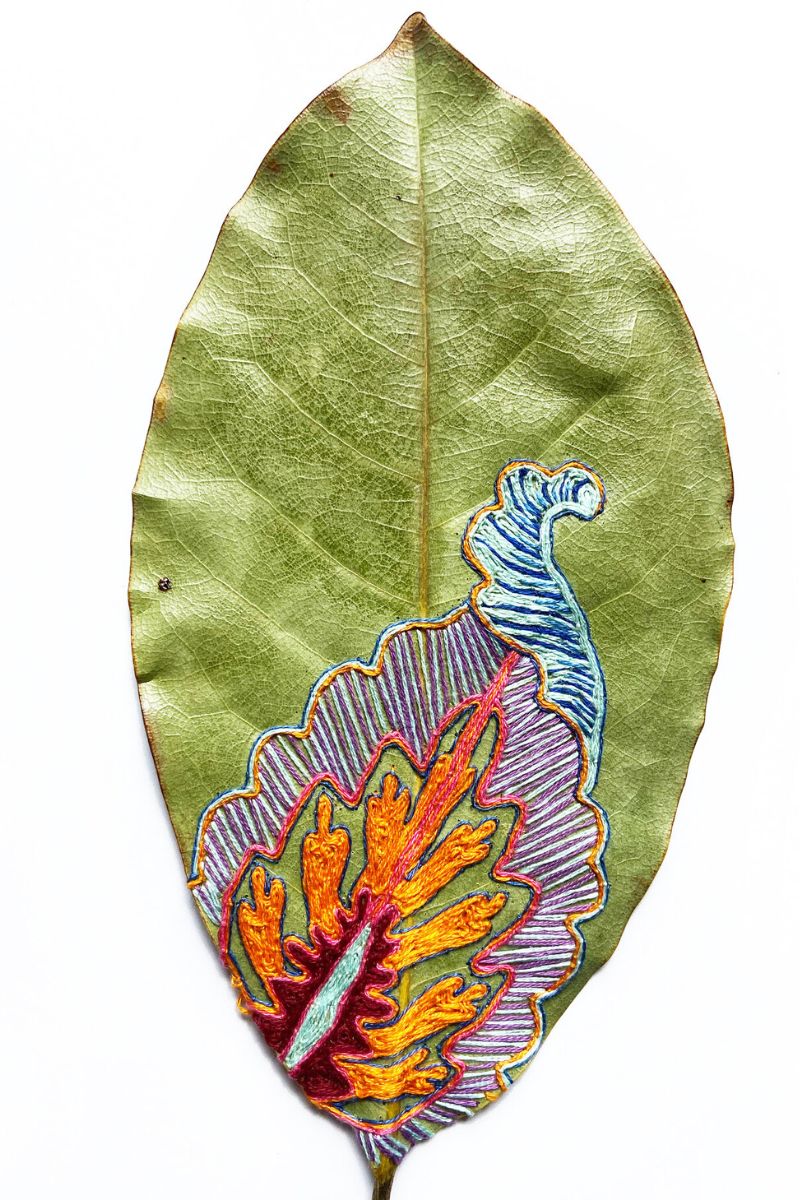 Hillary Waters Fayle artwork showing colorful botanical embroideries on Thursd