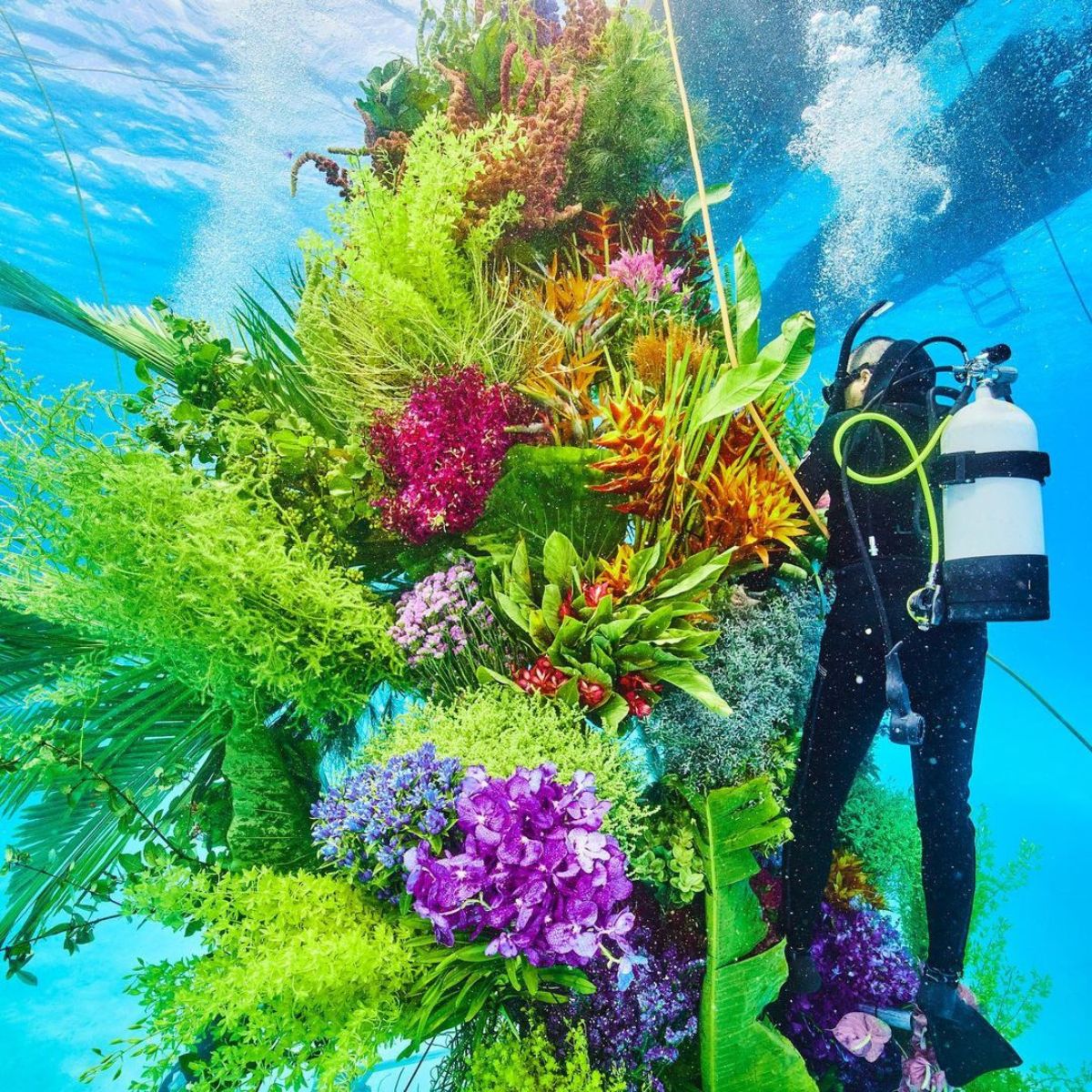 Azuma Makoto fills clear waters in Japan with colorful flowers on Thursd